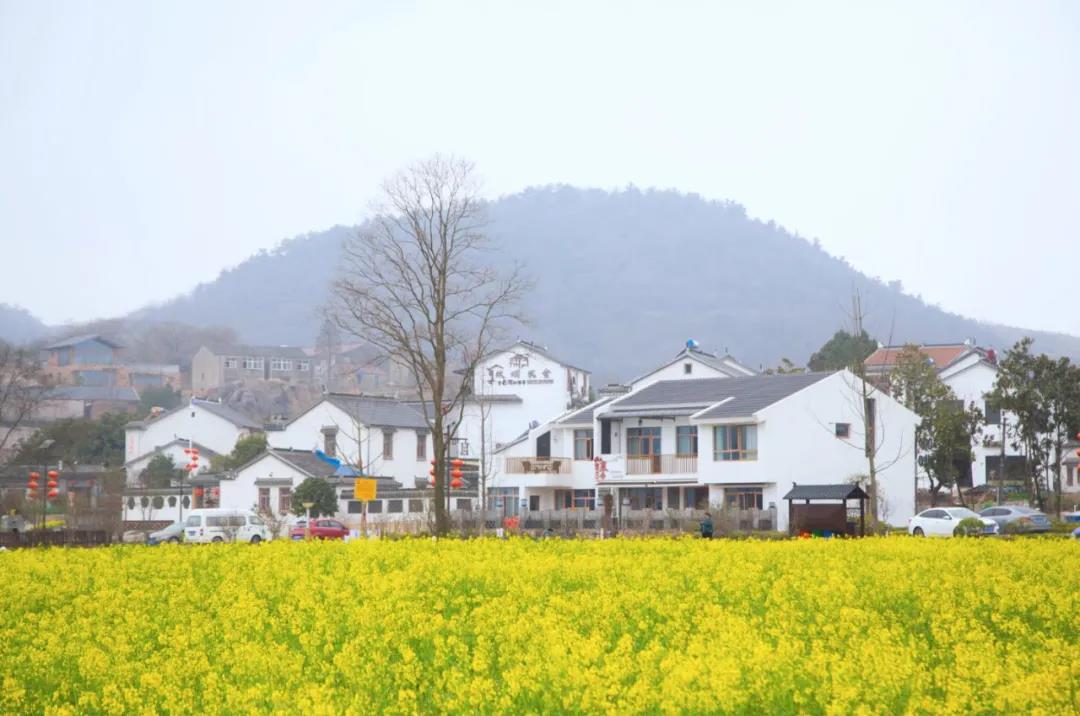 豪门国际官网-追求康健,你我一起生长