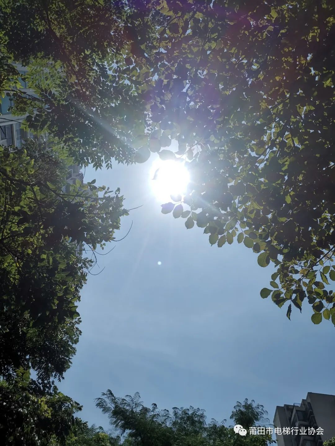 豪门国际官网-追求康健,你我一起生长