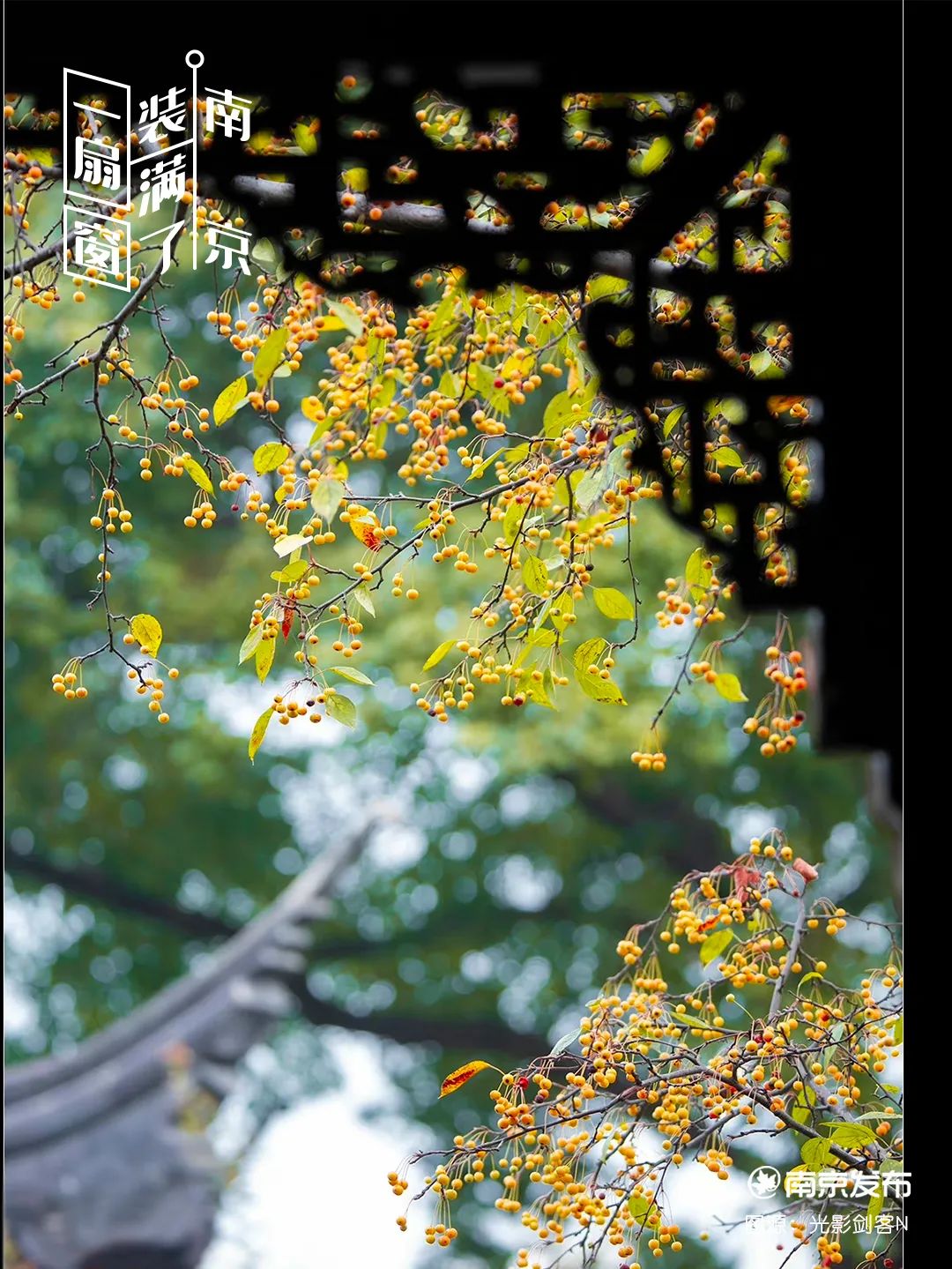 豪门国际官网-追求康健,你我一起生长