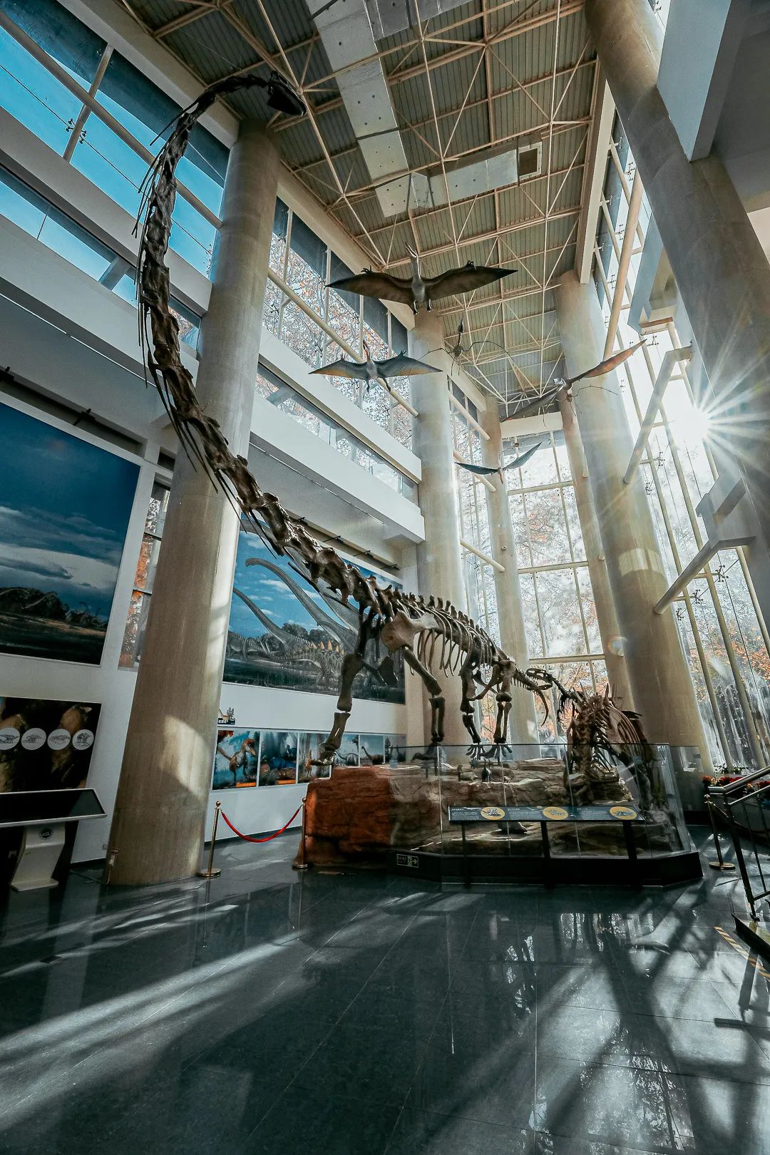 豪门国际官网-追求康健,你我一起生长